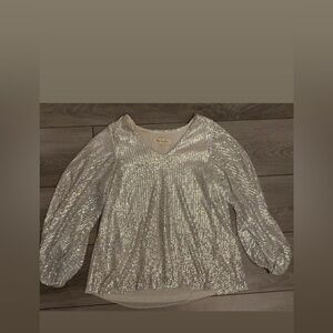 Vine & Love Size Small Silver Sequinned Long Sleeved Blouse Vneck Dressy EUC